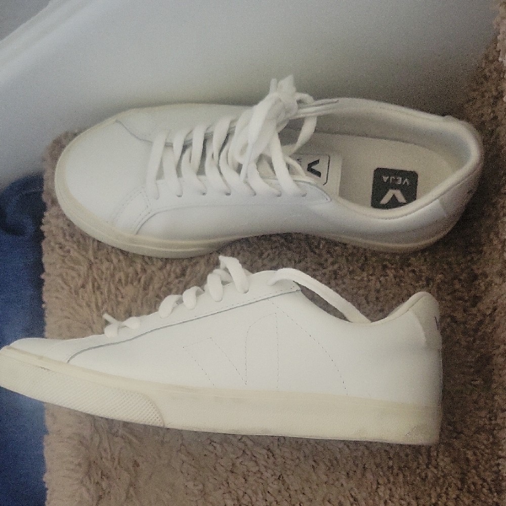 Veja White and Cream Casual Sneakers